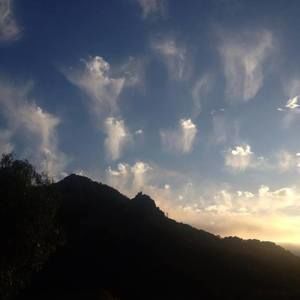 Meet your Posher, Ann